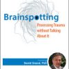 Psychotherapy Networker Symposium: Brainspotting: Processing Trauma without Talking About It – David Grand