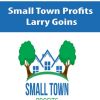 Small Town Profits – Larry Goins