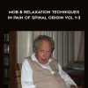 Karel Lewit REPOST – Mob & Relaxation Techniques in Pain of Spinal Origin Vol 1- 3