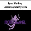 Lynn Waldrop – Cardiovascular System