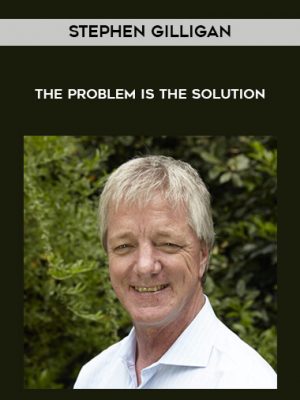 Stephen Gilligan – The Problem Is The Solution