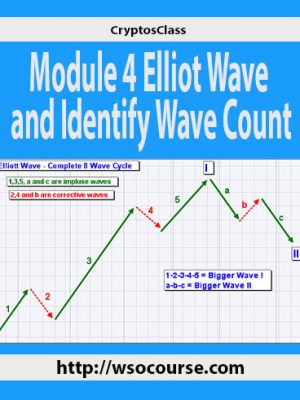 CryptosClass – Module 4 Elliot Wave and Identify Wave Count