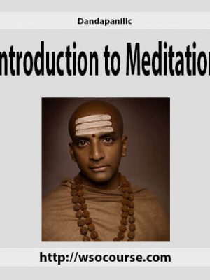 Dandapanillc – Introduction to Meditation