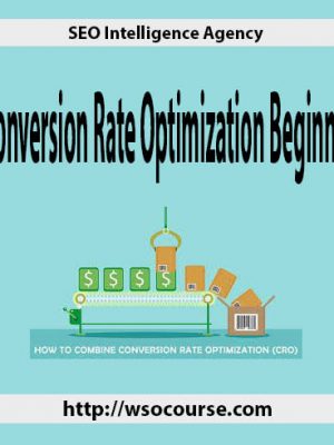 SEO Intelligence Agency – Conversion Rate Optimization Beginner