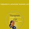 David Gordon – Therapeutic Metaphor Training LIVE