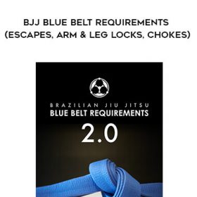Roy Dean - BJJ Blue Belt Requirements (Escapes, Arm & Leg Locks, Chokes)