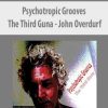 John Overdurf – Psychotropic Grooves: The Third Guna