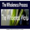 1connirae andreas the wholeness process