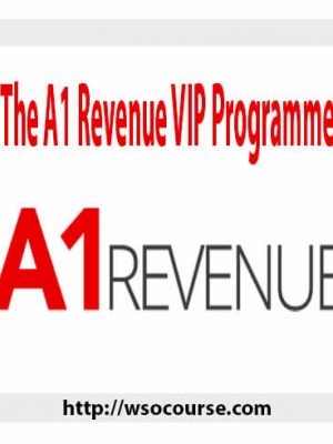 The A1 Revenue VIP Programme