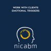 NICABM – Work with Clients Emotional Triggers
