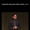 Jeff Primack – Qigong Healing Form Level 1 2 3