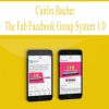 245 caitlin bacher the fab facebook group system 1 0