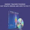 Donna Eden – Energy Tracker Figuring Out What’s Wrong and How to Fix It