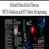 2964 richard flook karl dawson meta medicine and eft matrix reimprinting