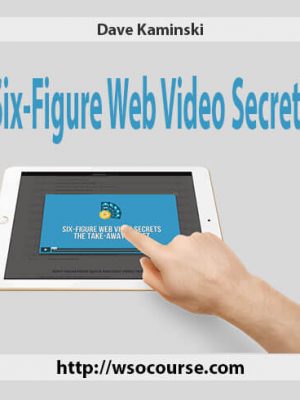 Dave Kaminski – Six-Figure Web Video Secrets
