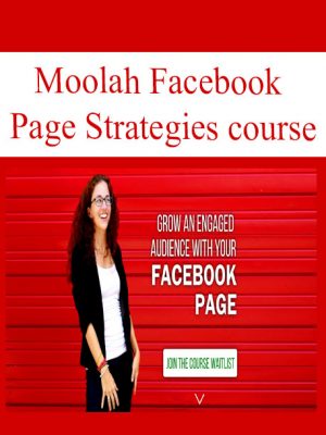 Moolah Facebook Page Strategies course