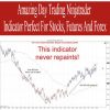 Amazing Day Trading Ninjatrader Indicator Perfect For Stocks, Futures And Forex