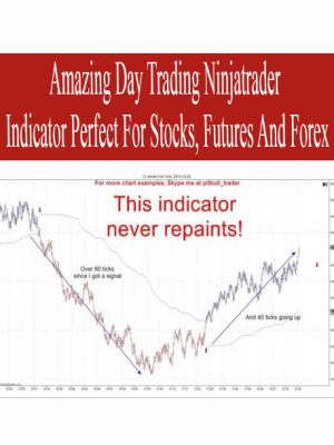 Amazing Day Trading Ninjatrader Indicator Perfect For Stocks, Futures And Forex