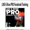 Travis Petelle – LIKE A Boss PRO Facebook Training