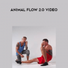 Animal Flow 2.0 Video