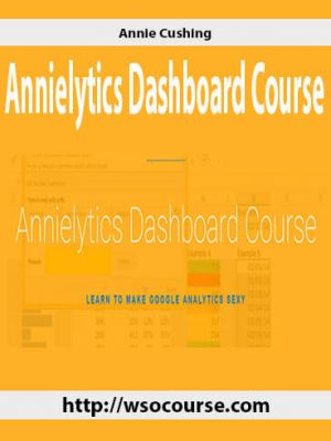 Annie Cushing – Annielytics Dashboard Course