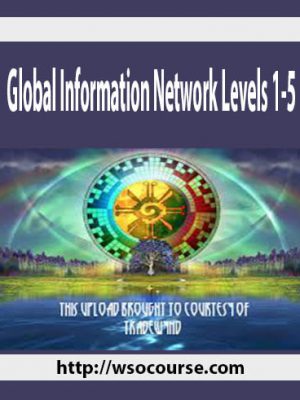 Global Information Network Levels 1-5