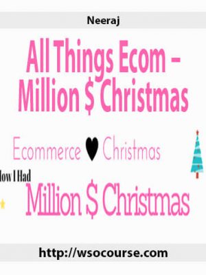 Neeraj – All Things Ecom – Million $ Christmas