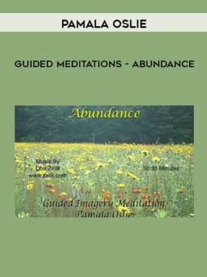 Pamala Oslie – Guided Meditations – Abundance