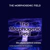 Christopher Tims – The Morphogenic field