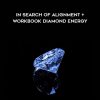 Jacqueline Joy – In Search of Alignment + Workbook – Diamond Energy