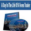 A Day In The Life Of A Forex Trader