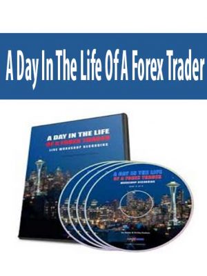 A Day In The Life Of A Forex Trader