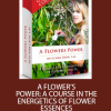 Sara Crow – A Flowers Power – A Course In The Energetics Of Flower Essences