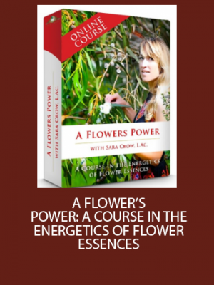 Sara Crow – A Flowers Power – A Course In The Energetics Of Flower Essences