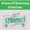 Ali Pashaei’s SPY Weekly Strategy – All Three Classes