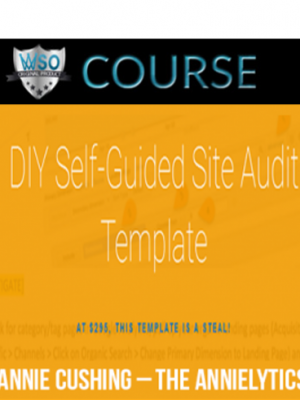 Annie Cushing – the Annielytics Site Audit Template