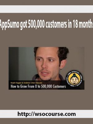 AppSumo got 500,000 customers in 18 months