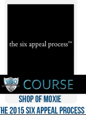 Ash Ambirge – Shop of Moxie – The 2015 Six Appeal Process