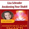 awakening your shakti lisa schrader