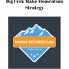 big fish mako momentum strategy 1 300x300 1