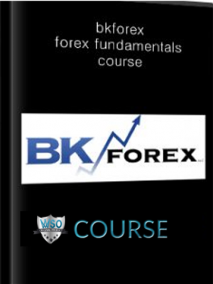 Bkforex – forex fundamentals course