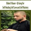 blake d bauer qi gong for self healing self love and self mastery