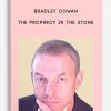 bradley cowan the prophecy in the stone