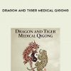 bruce frantzis dragon and tiger medical qigonga