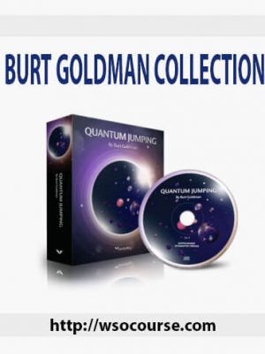 BURT GOLDMAN COLLECTION