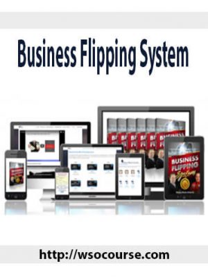 Business Flipping System