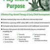 Play with a Purpose: Effective Play-Based Therapy & Early Child Development – Cari Ebert