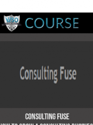 Consulting Fuse – How to Grow a Consulting Business