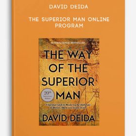 David Deida - The Superior Man Online Program