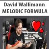 David Wallimann – MELODIC FORMULA